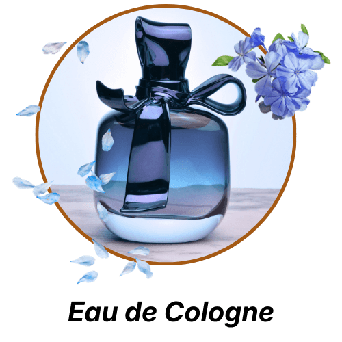 Fragrance - Image 1 (1)