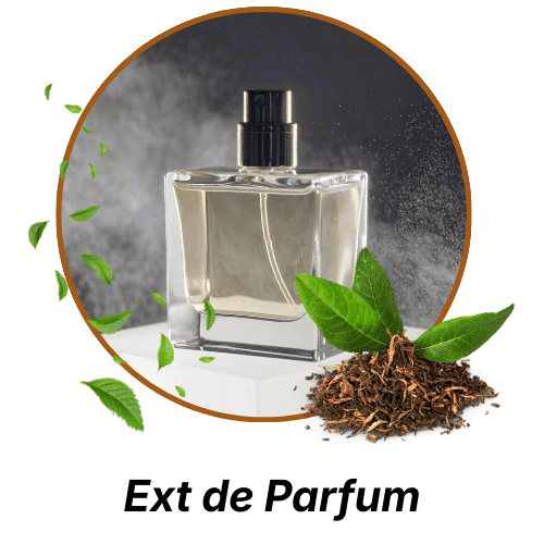 Fragrance - Image 1 (4)